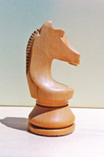 World Chess Campionship Chess Knight